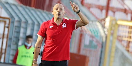 Diretta Cosenza-Vicenza dalle 14: probabili formazioni e dove vederla in tv