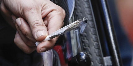 Referendum Cannabis, raggiunte le 500mila firme