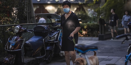 Corea del Sud: Moon apre al divieto di consumo carne di cane