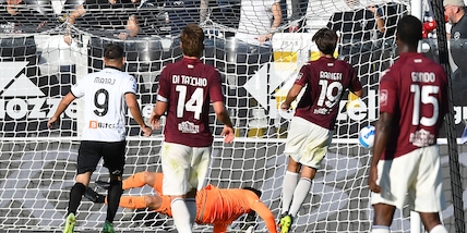 Salernitana, giocatori sotto accusa: "Intollerabile l'atteggiamento"