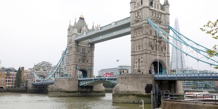 Incredibile a Londra: squali nel Tamigi