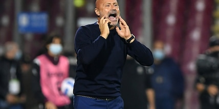 Salernitana, Colantuono: "Vogliamo battere la Sampdoria"