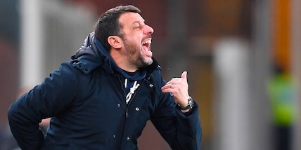 D'Aversa avverte il Torino: "La Sampdoria vuole passare il turno"