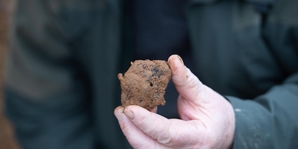 'Cerca e cavatura del tartufo' entra nel patrimonio dell'Unesco