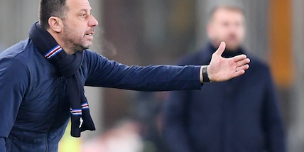Sampdoria, D'Aversa: "Serve più concretezza sotto porta"