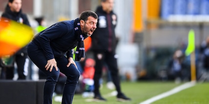 D'Aversa: "Merito al Torino. Sampdoria, devi essere più cattiva"