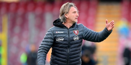 Nicola: "Ora la Juve: sarà una Salernitana aggressiva"