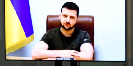 Ucraina, Zelensky chiede aiuto all'Australia: "Dobbiamo fare di più"