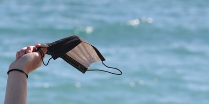 Covid in Italia, l'appello Gimbe: "No a stop mascherine al chiuso"