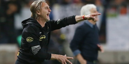 Salernitana, Nicola: "Il pari con l'Atalanta ci sta nei numeri"