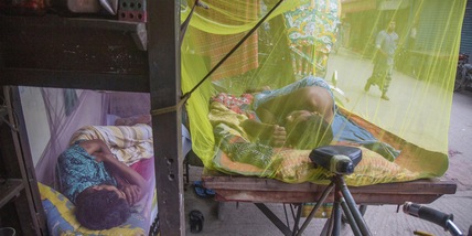 Come scacciare le zanzare: quali sono i colori da evitare