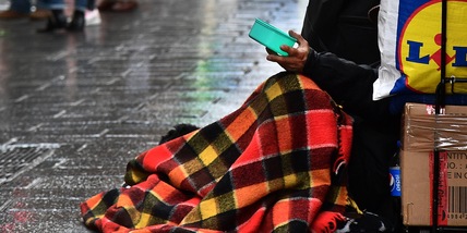 Azzannato da due pitbull: muore un clochard in Puglia