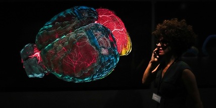 Cosa fare per mantenere il cervello giovane