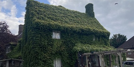 Caro bollette: il trucco green di una coppia di pensionati per risparmiare