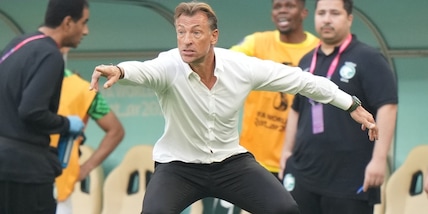 Arabia Saudita, chi è Renard: il genio giramondo che svuotava i cassonetti