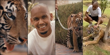 Fabinho, la tigre e la catena guinzaglio: il terrificante video Al Ittihad