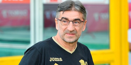 Juric, conferenza Salernitana-Torino: "Out Vojvoda e Ilic. Zapata titolare"
