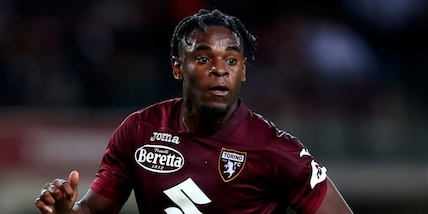 Juric, conferenza Torino-Verona: "Zapata gioca, Vojvoda out"