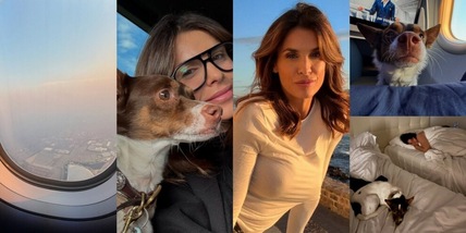 Elisabetta Canalis torna a Los Angeles dopo gli incendi: "Per fortuna sei qui...."