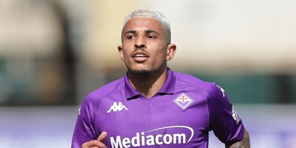 Fiorentina-Betis: l'amuleto Dodo, lo stadio pieno, la paura