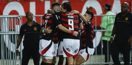 Brasileirao, quote e pronostico di Flamengo-Fortaleza