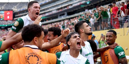 Palmeiras-Botafogo: il duello negli ultimi 2 campionati e ora sfida Mondiale