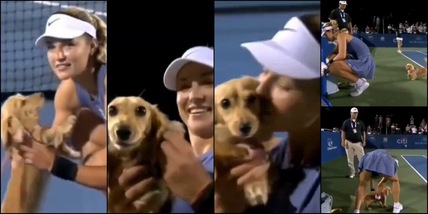 Kalinskaya, dolce invasione di campo: Bella sorprende l'ex di Sinner