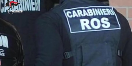 Blitz del Ros contro la cosca Piromalli, 26 arresti