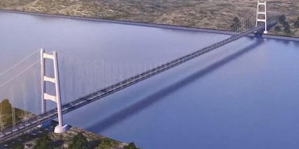 C.Conti chiede chiarimenti su delibera Cipess Ponte Stretto