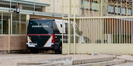 Uccide cane della compagna, condannato per violenza di genere