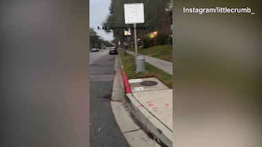 Elisabetta Canalis, giro in bici con il cane