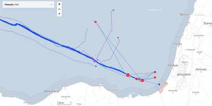 Legali Flotilla, 'alcuni attivisti in sciopero della fame'