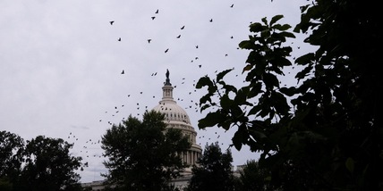Fallito ennesimo voto al Senato Usa contro lo shutdown