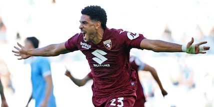 Toro solido: la rinascita di Coco