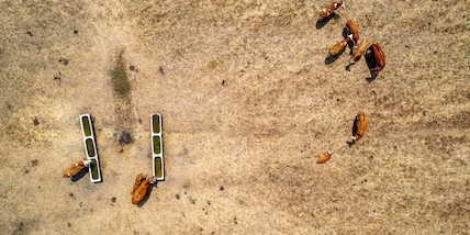 Fao, il degrado del suolo danneggia 1,7 miliardi di persone