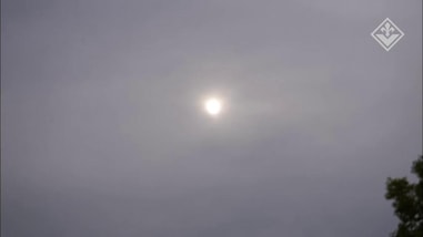 Fiorentina, Vanoli guida il primo allenamento