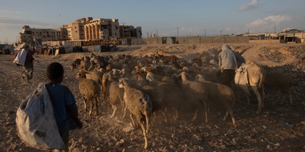 Mosca propone una bozza all'Onu su Gaza, sfida agli Usa
