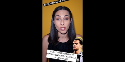 Gatti, menisco e mercato