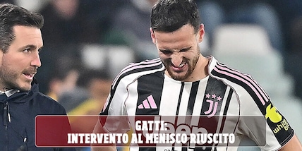 Gatti operato: i tempi di recupero