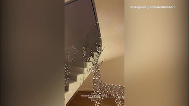 Tamberi fa una romantica sorpresa natalizia alla moglie