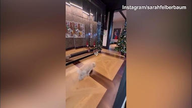 De Rossi torna a casa, il rientro sorprende il figlio: che emozione!