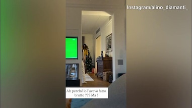 La "delusione" di Diamanti: il suo albero viene "sostituito"...