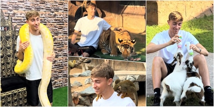 Leoni, tigri, serpenti e coccodrilli: benvenuti al Natale di Huijsen