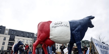 Fonti Ue, 'voto contrario dell'Eurocamera sul Mercosur fermerebbe iter di ratifica'