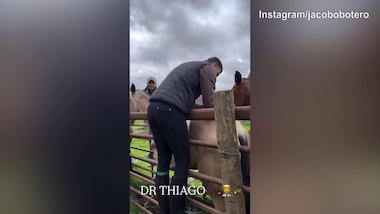 Riecco Thiago Motta: il tecnico coccola...un cavallo