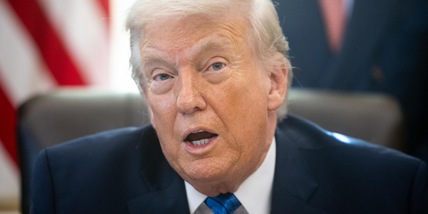 Trump, 'i documenti su Epstein mi assolvono'