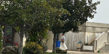 Tribunale, 'allontanare la madre e separare i bimbi del bosco'