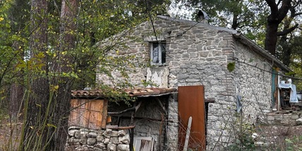 Il Tribunale dei minori, 'sul caso famiglia del bosco toni aggressivi'