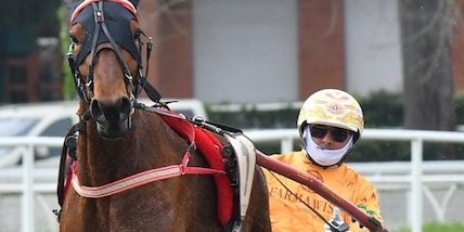 Ippica, domani l’80° GP Duomo a Firenze: è sfida tra giganti, Gocciadoro studia il poker