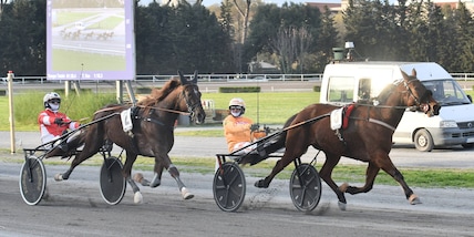 Ippica, Firenze: Dany Capar straripante, l’80° Gran Premio Duomo è ancora suo